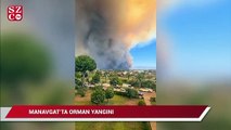 Manavgat’ta orman yangını