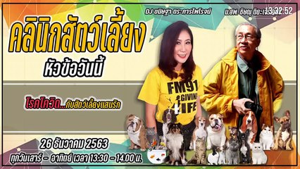 โรคโควิดกับสัตว์เลี้ยงแสนรัก : FM91 คลินิกสัตว์เลี้ยง : 26 ธันวาคม 2563