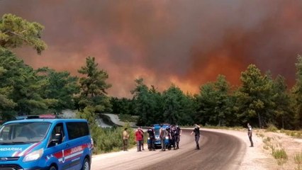 Son Dakika: Manavgat'ta 4 ayrı noktada orman yangını çıktı! 3 mahalle boşaltıldı, alevler benzin istasyonuna ulaşabilir