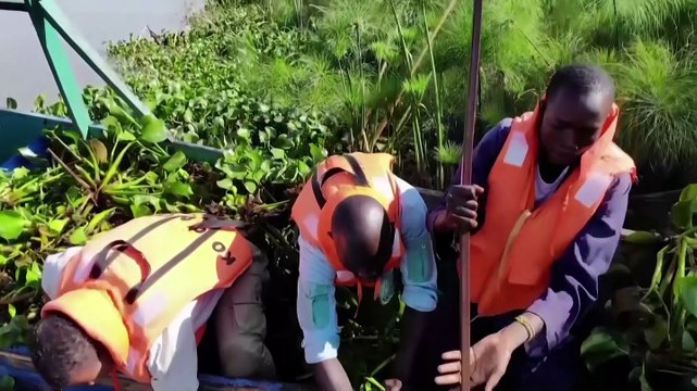 Kenyan entrepreneur turns water weeds into fuel