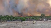 Son dakika haberleri... Orman yangınına havadan ve karadan müdahale ediliyor (4)