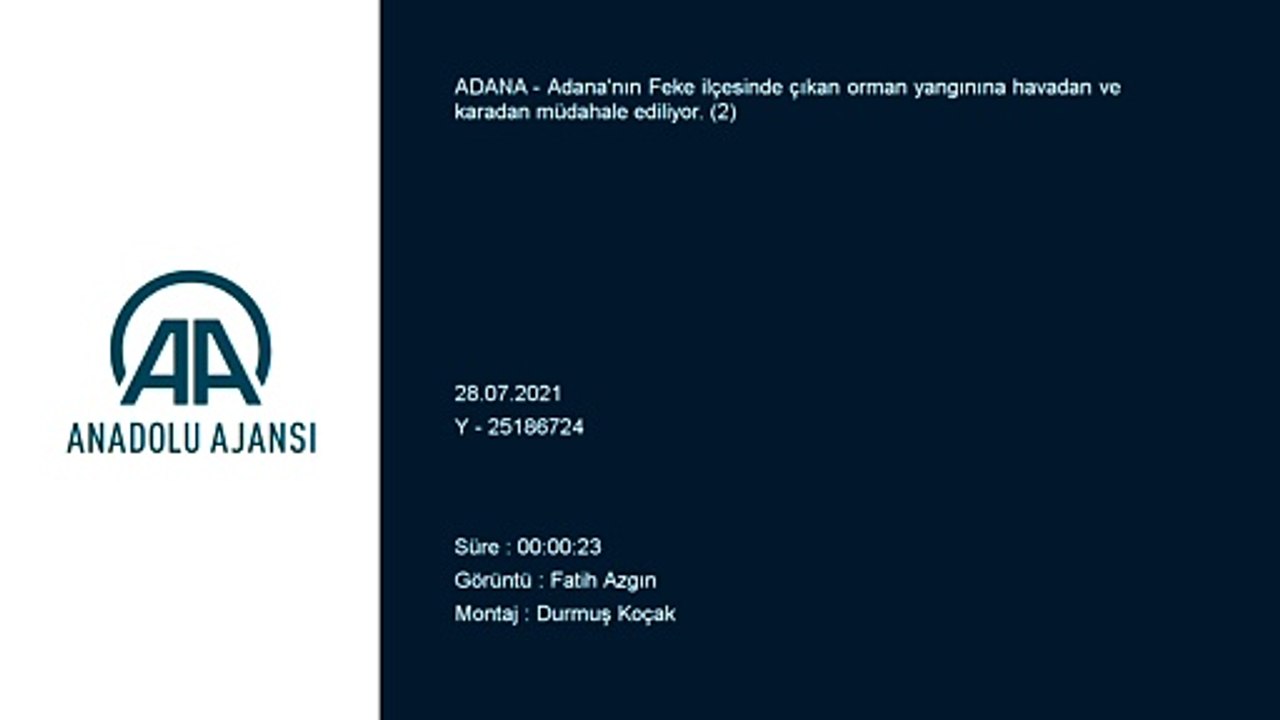ADANA - Feke'de çıkan orman yangınına müdahale ediliyor (2)