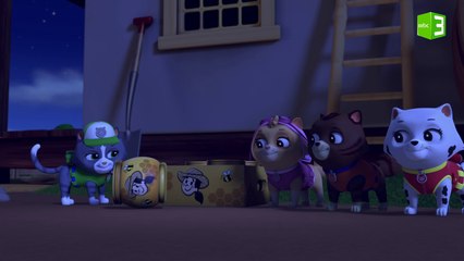 القطط سارقة العسل