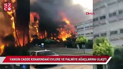 Manvagat'taki yangın cadde kenarındaki evlere ve palmiye ağaçlarına ulaştı