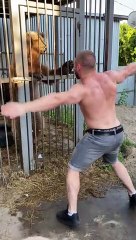 Bear Dances With His Human Friend