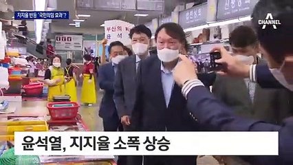 ‘만남의 정치학’…윤석열 지지율 반등 ‘국민의힘 효과’?