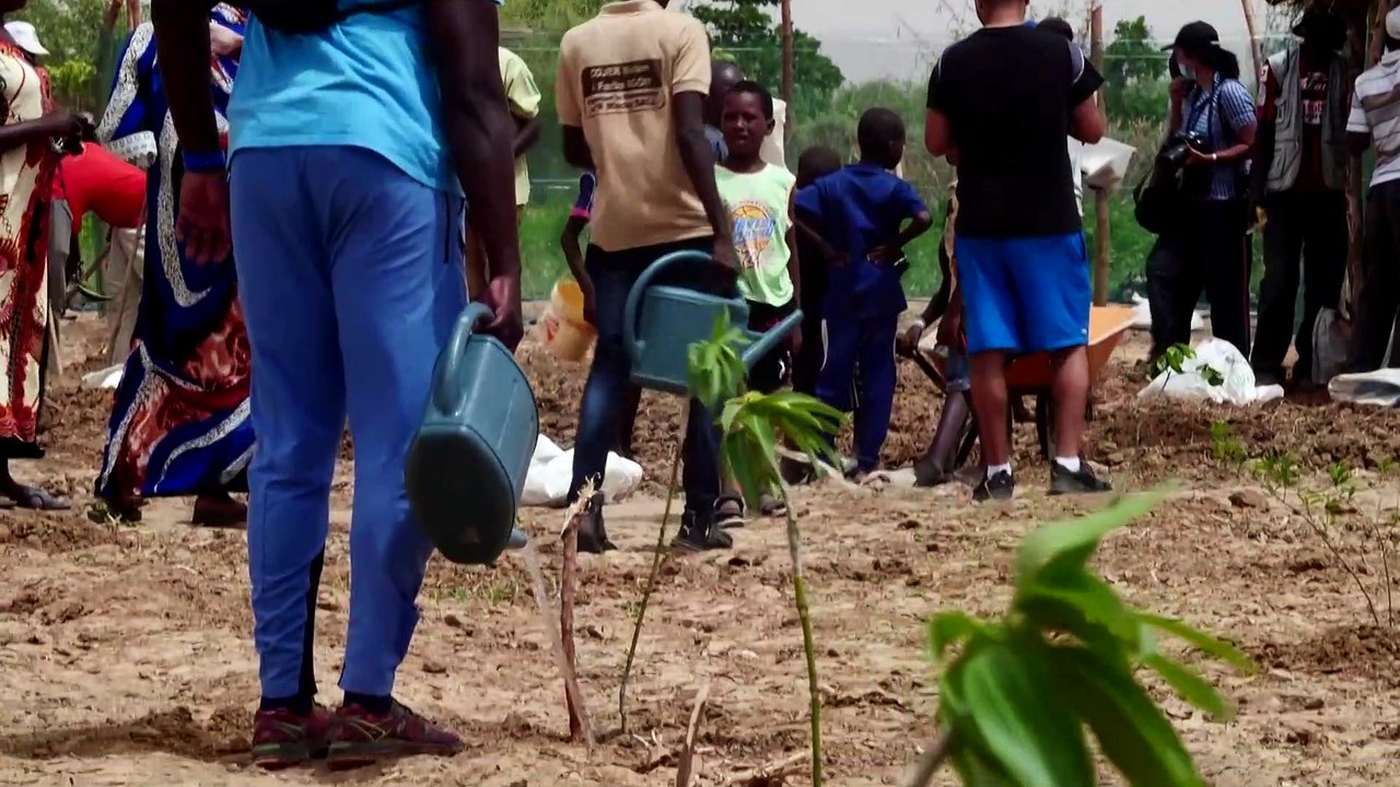 Senegalese plant circular gardens in Green Wall defence against desert