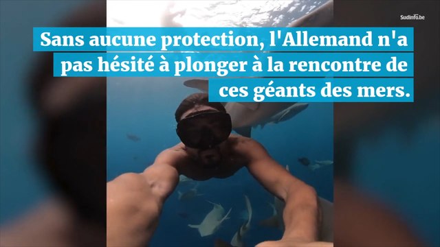 Incroyable : il se filme en train de nager… au milieu d'un banc de requins !