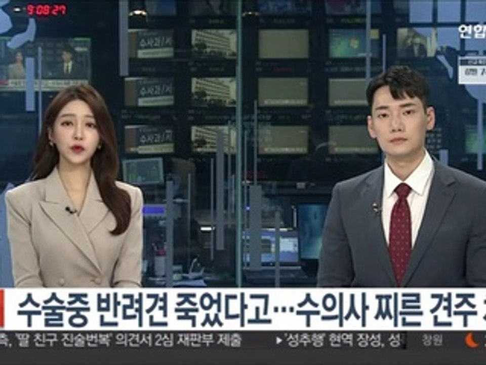 수술중 반려견 죽었다고…수의사 찌른 견주 체포