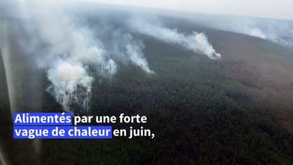 Russie: des feux de forêt font rage en Sibérie