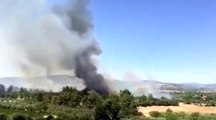 Son dakika... Tarsus'ta zeytinlik alanda yangın