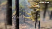 Kayseri, Adana ve Mersin'de orman yangınları