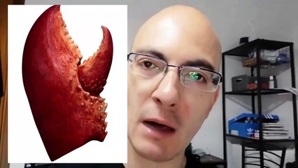 Conoscitore Italiano YTP in Camera!