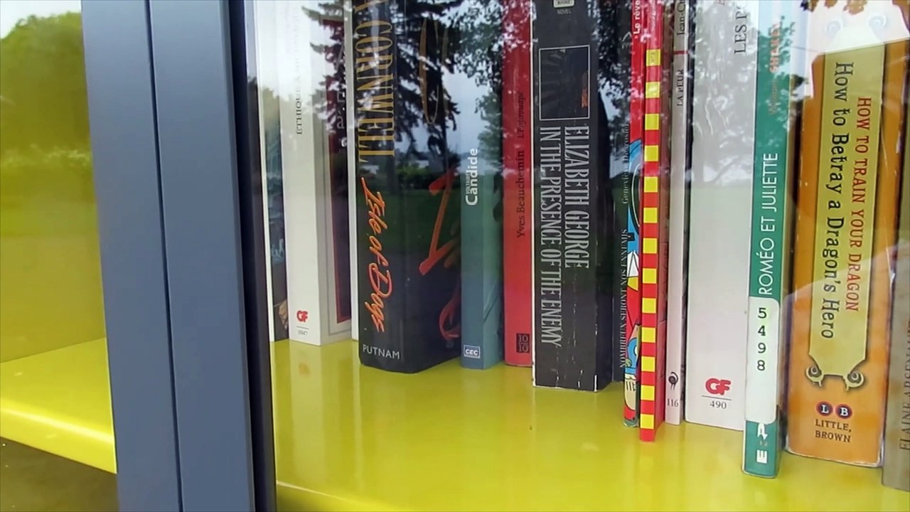 Aperçu de la microbibliothèque (Le Reflet - Audrey Leduc-Brodeur)