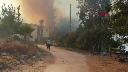 Son dakika: OSMANİYE'DE ORMAN YANGINI