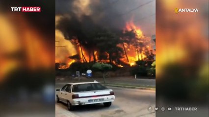 Antalya'da orman yangınına müdahale sürüyor