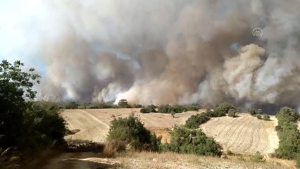 Son dakika haberleri... Orman yangınına havadan ve karadan müdahale ediliyor