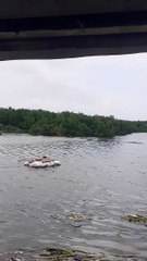 Drowning Dog Saved From Sea