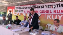 Cumhurbaşkanı talimat verdi küçükbaş sayısında hedef 90 milyon