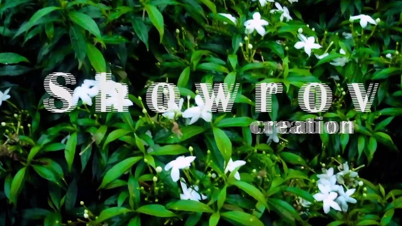 Hok kolorob remix