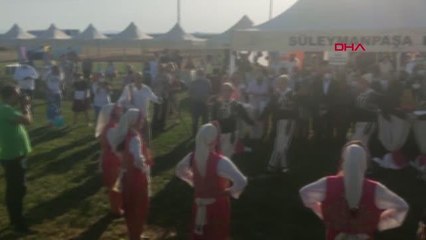 TEKİRDAĞ'DA AYÇİÇEĞİ TARLASINDA FOTO SAFARİ