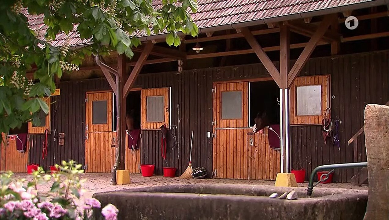 Sturm der Liebe Folge 3648 Entfachter Ehrgeiz