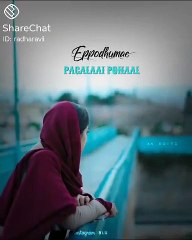 WhatsApp Status: What You Need to Know