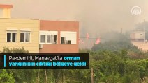 Tarım ve Orman Bakanı Pakdemirli Manavgat'taki yangın bölgesinde