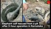 Elephant calf rescued from a pit after 3-hour operation in Karnataka