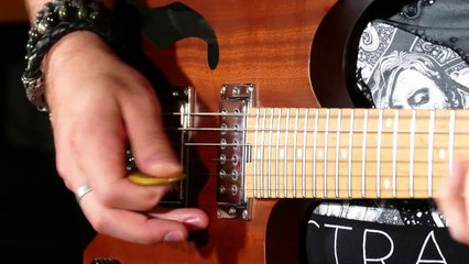 Hufschmid TORLON® 4203 plectrum demo by Julien Lamarre!
