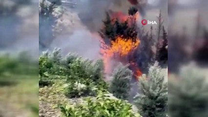 Hatay'da bahçe yangını korkuttu