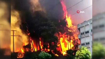 Yerleşim yerlerine sıçrayan yangına müdahale havadan ve karadan  sürüyor
