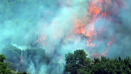 Πάτρα: Πυρκαγιά στην περιοχή Ελεκίστρα