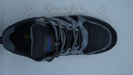 Eurostat Zebra Safety Shoes