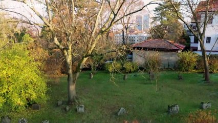 L'UNESCO classe à son patrimoine mondial les sites médiévaux juifs allemands