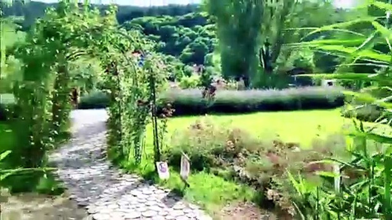 Impressionen aus dem WOW Park in Miskolc