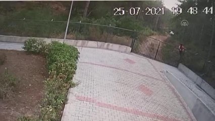 Son dakika! Alanya Belediyesi'nden sosyal medyadaki barınaktaki kedi ve köpekler ölüyor paylaşımına yalanlama