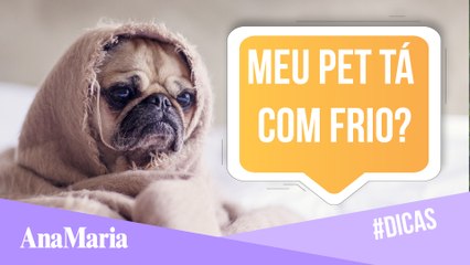 COMO SABER SE SEU PET ESTÁ COM FRIO E O QUE FAZER!