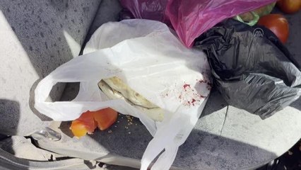İsrail askerleri Batı Şeria'da 11 yaşındaki Filistinli bir çocuğu ağır yaraladı