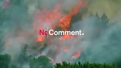 Villagers evacuated as firefighters combat wildfire in Peloponnese forests