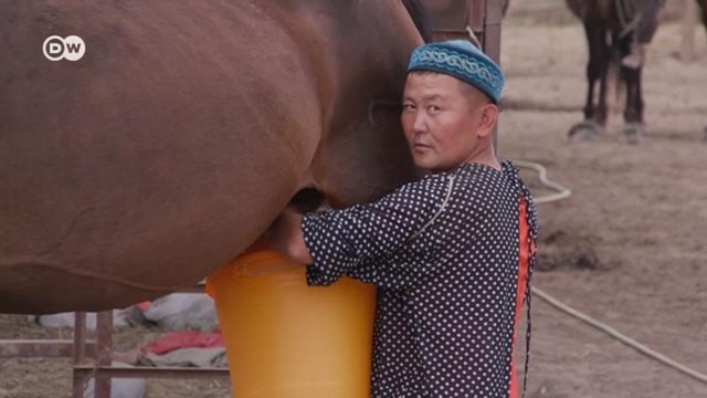 Помогает ли кумыс в борьбе с коронавирусом? (28.07.2021)