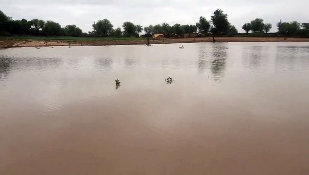 मकराना, डीडवाना व नावां में भारी बारिश, खेत बने तालाब, पटरियों से नीचे से मिट्टी का कटाव