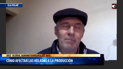 Cómo afectan las heladas a la producción