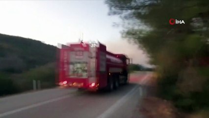 Orman yangınını kontrol altına alma çalışmaları sürüyor