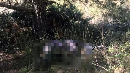 "Bugün beni beklemeyin" diyen yaşlı adam mezarlıkta ölü bulundu