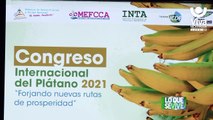 Productores participan en Congreso Internacional del Plátano 2021