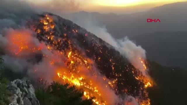 MERSİN'İN 2 İLÇESİNDE ORMAN YANGINI