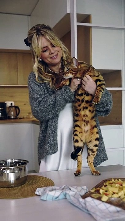 Cat look like the tiger