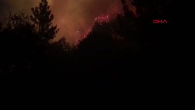 Son dakika gündem: ADANA'NIN 2 İLÇESİNDE ORMAN YANGINI