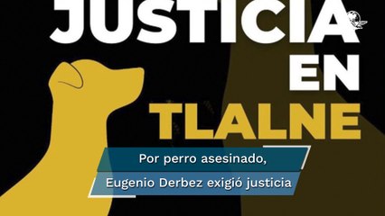 Exigen justicia por perro que murió a golpes en Tlalnepantla; llaman a marcha